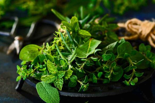 Natural herbs